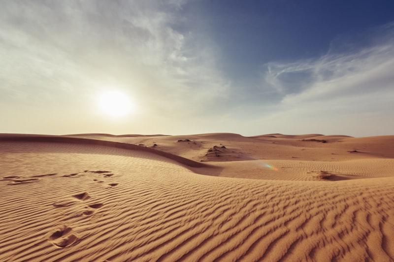Mojave